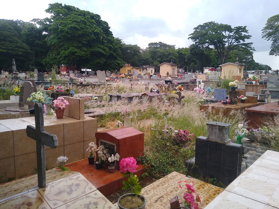 Estado-de-abandono-do-Cemitério-da-Saudade-revolta-a-população-03